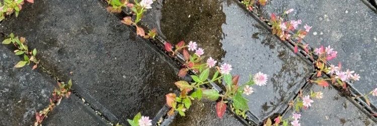 Sandra1122334's profile banner image