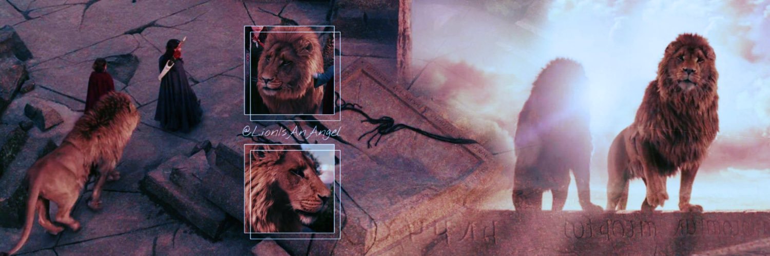 LionIsAnAngel's profile banner image