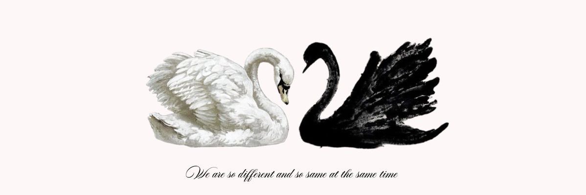 Iries banner
