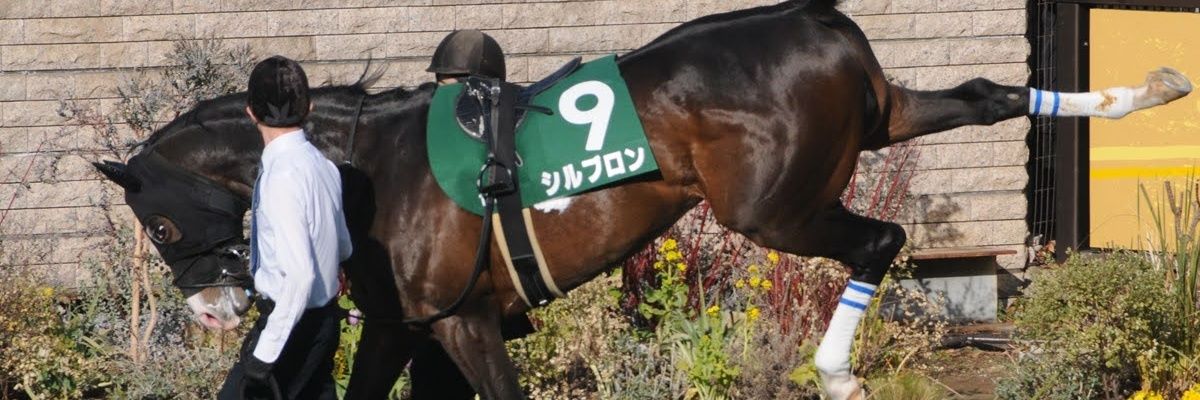 takezocchi's profile banner image