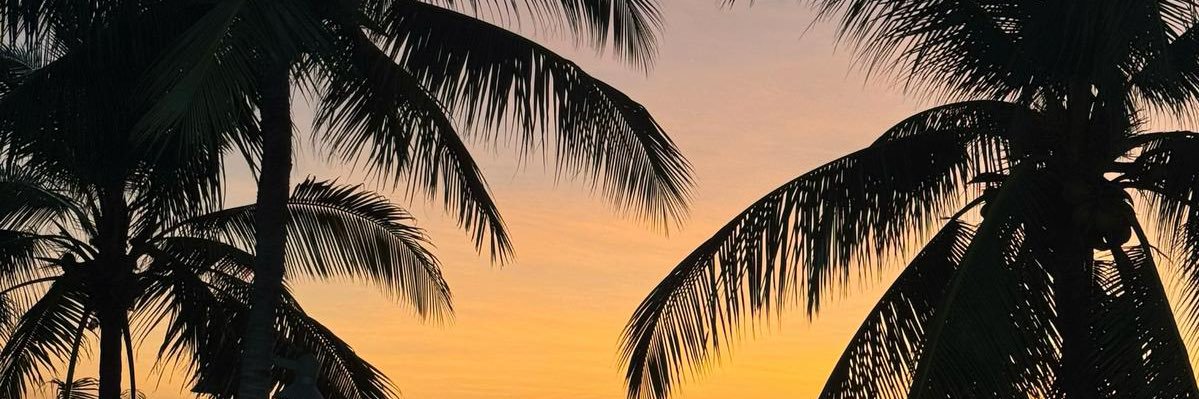 visal461300's profile banner image