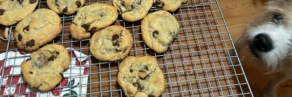 karmasahn Profile Banner