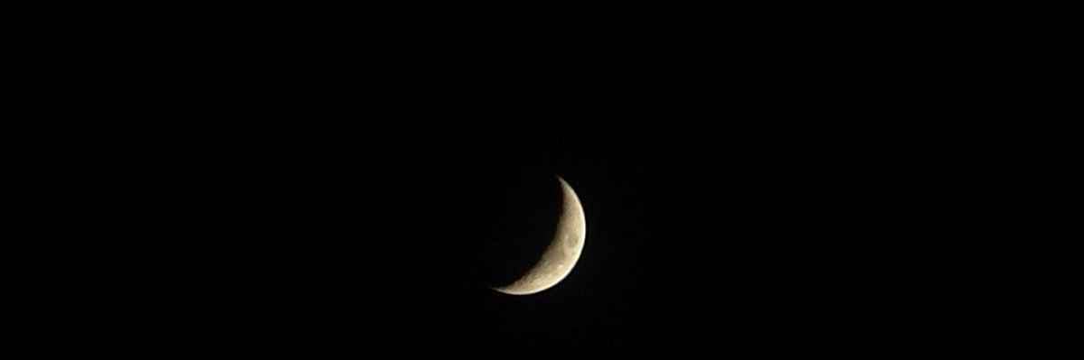 BreeNewMoon's profile banner image