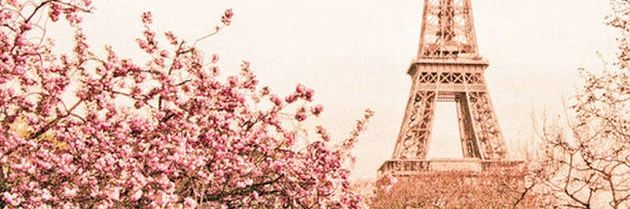 MnkBorges's profile banner image