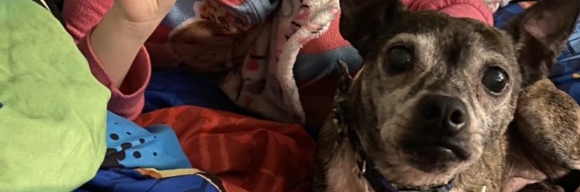 Val Armstrong banner