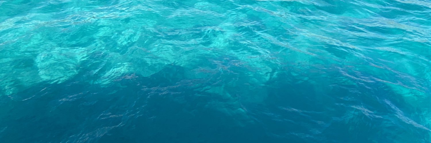 pinogger's profile banner image