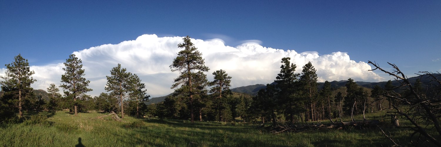 Christine A. Shields banner