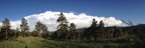 catswx Profile Banner