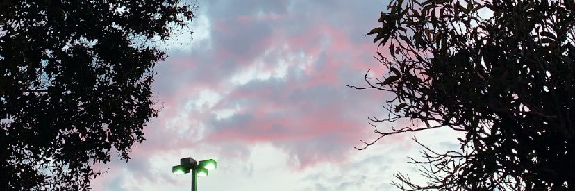 Manceboii's profile banner image