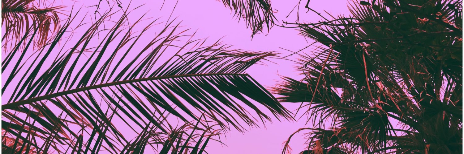 Giulia Ambrosetti banner