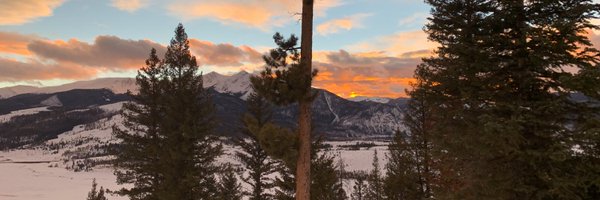 trishblack Profile Banner