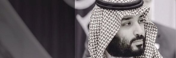محمد أبوشويربات banner