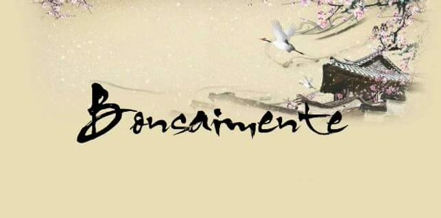 bonsaimente's profile banner image