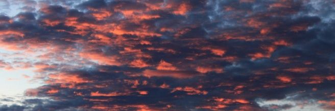 DanielaRocha06's profile banner image