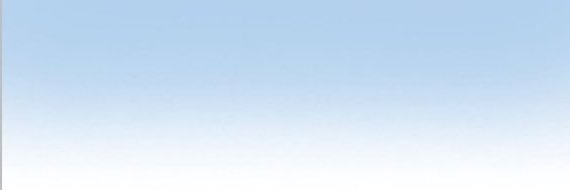 蛙 banner