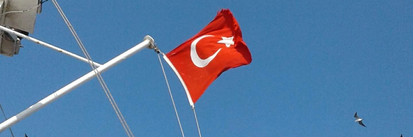 🫧𝔐𝔢𝔩𝔢𝔨 banner