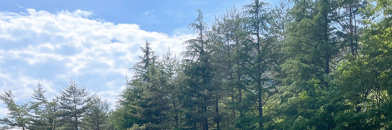 かめに banner