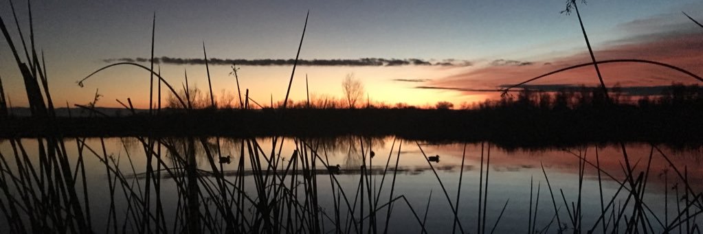 AUSTIN_LEMONS's profile banner image