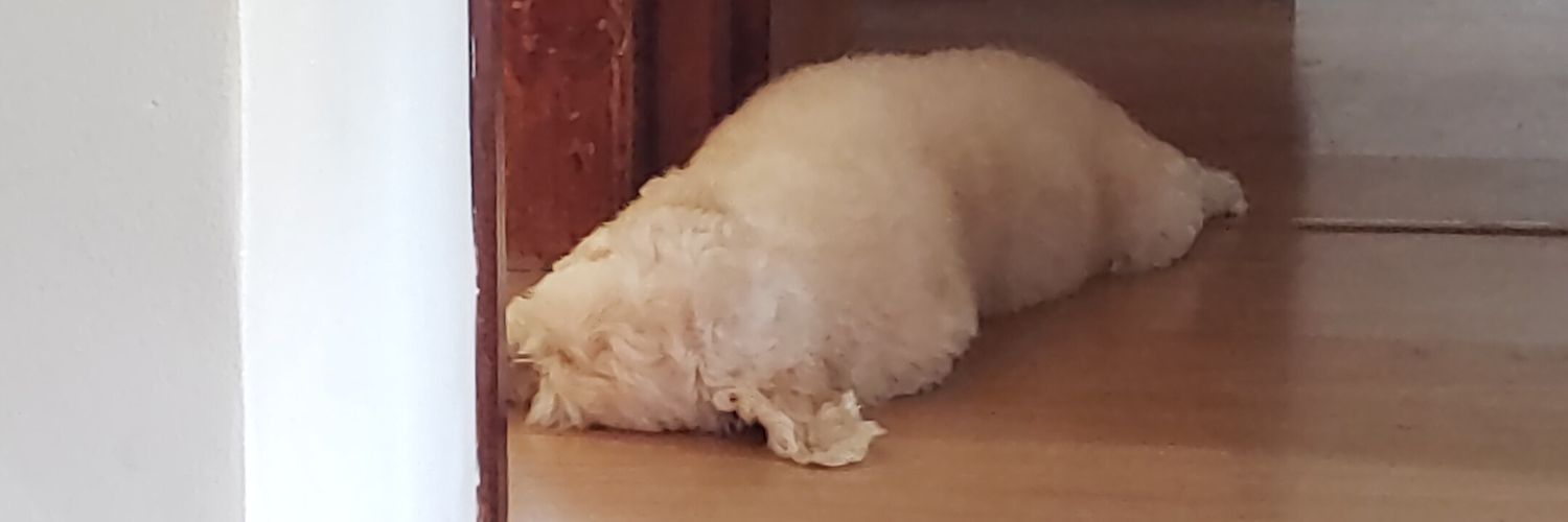 campogrande42's profile banner image