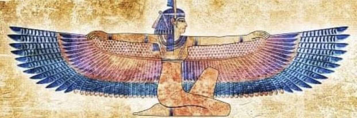 الحكمدار 🇪🇬 banner