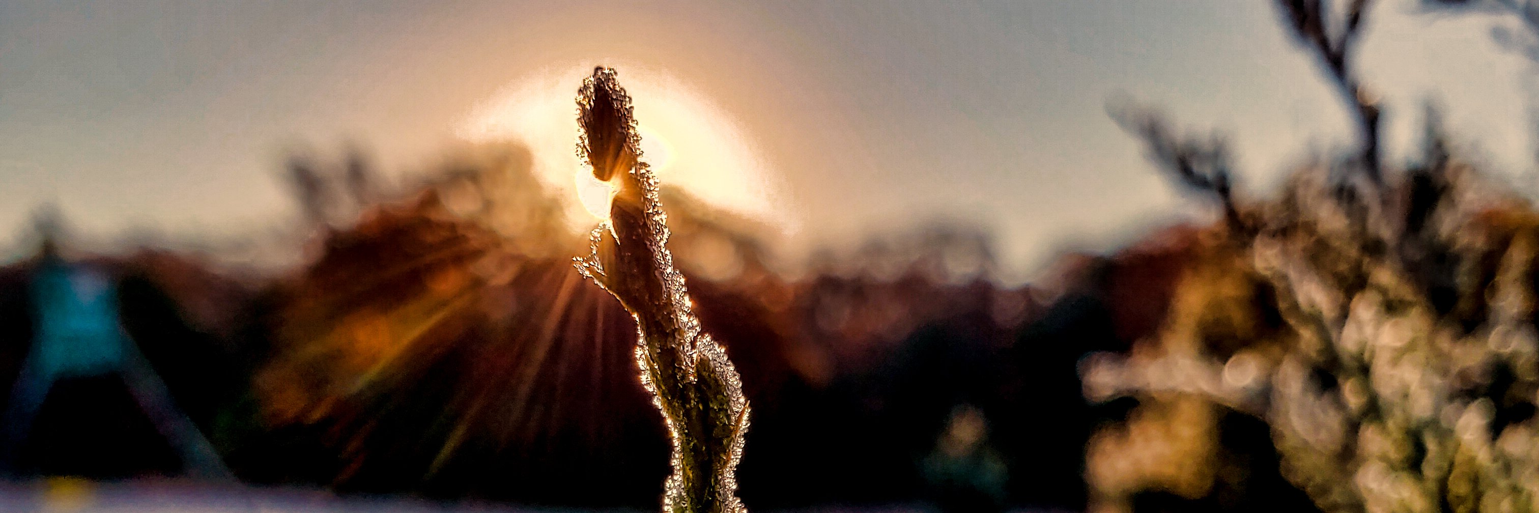 Andrea Bednar banner