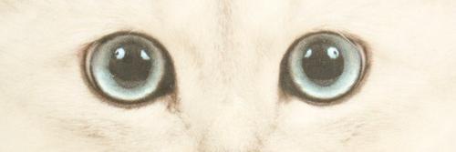 ♡Carmen María Garcia De La Torre♡ banner