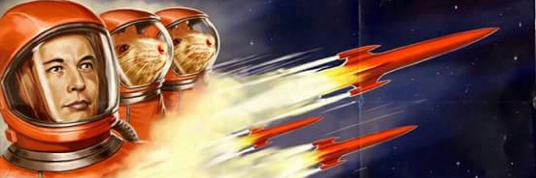 WalberthySousa's profile banner image