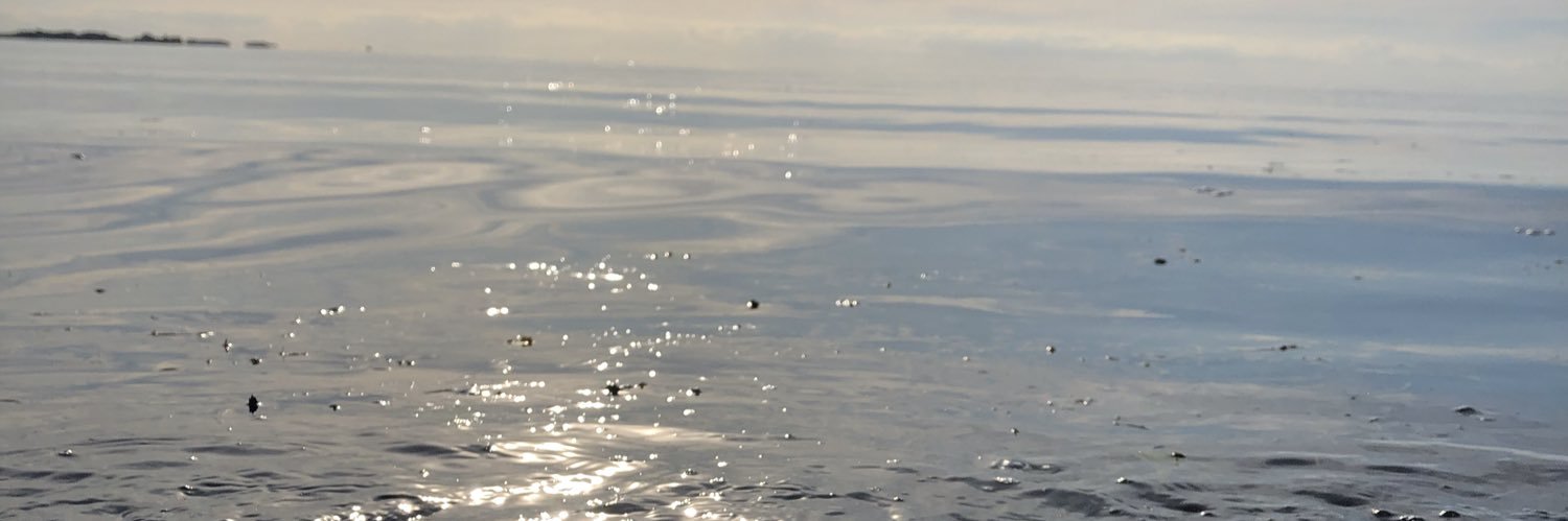 Medielover's profile banner image