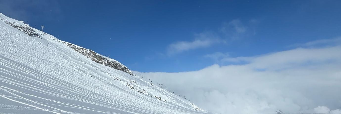 Morgan Schofield banner