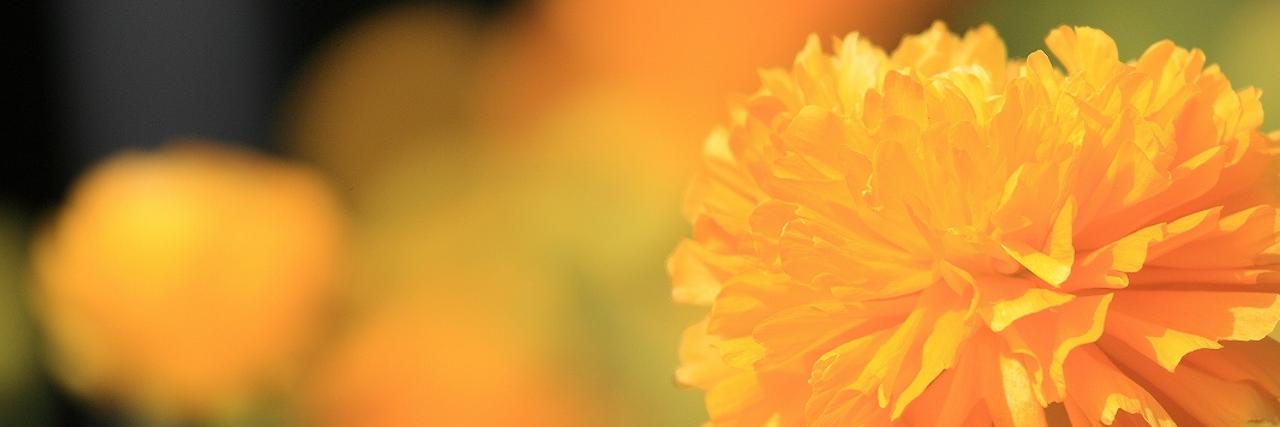 ponzab's profile banner image