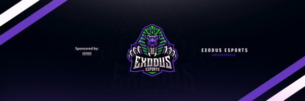 Team_eXoGG Profile Banner