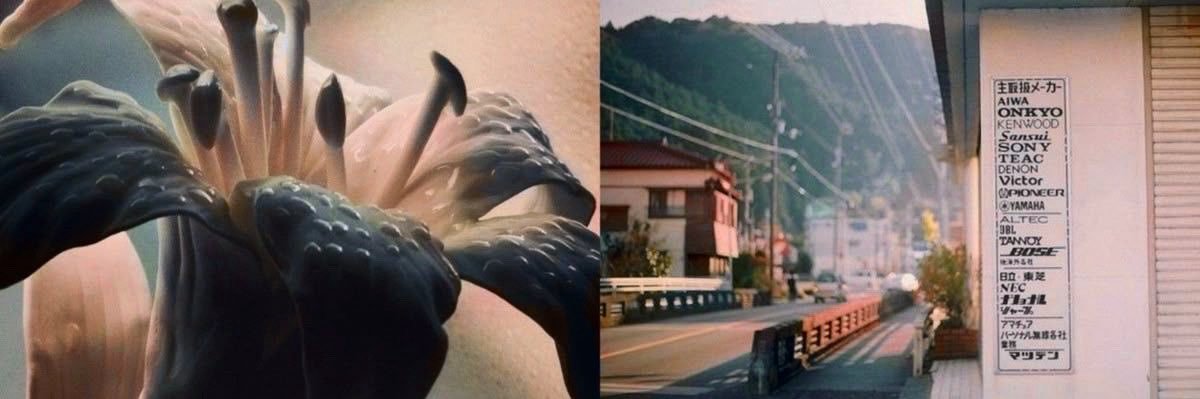 em 🎞️ wenkev smau's banner