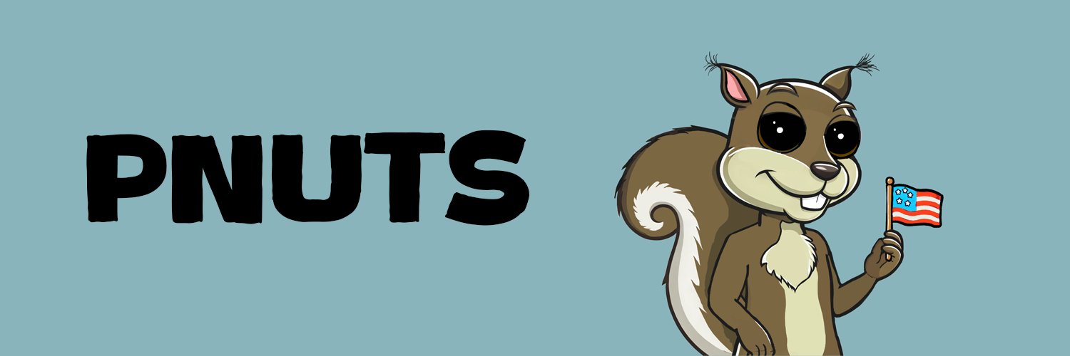 Pnut NFTs banner