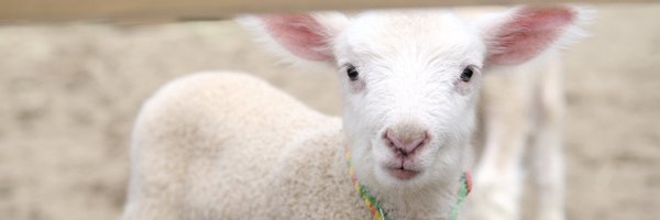 se0ysm Profile Banner