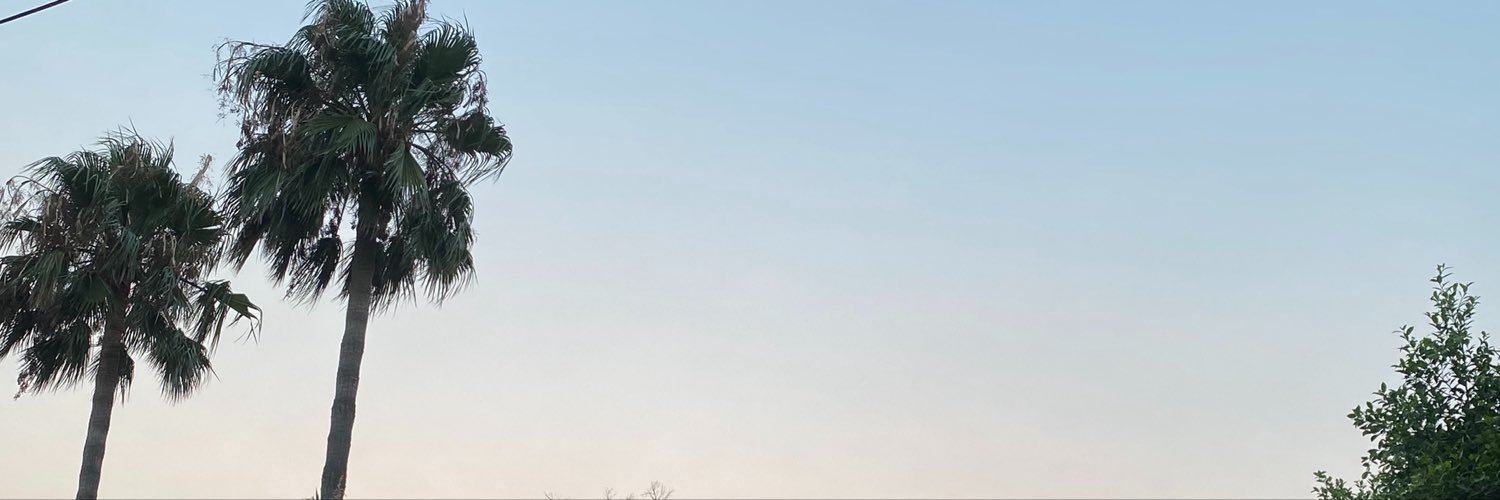 MehdiMayfield's profile banner image
