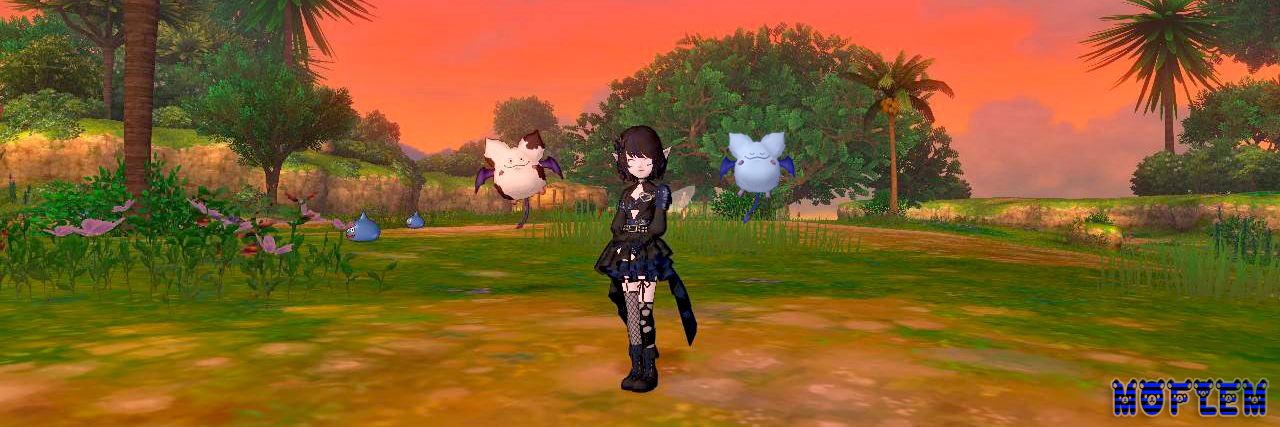 もふ💙🖤 banner