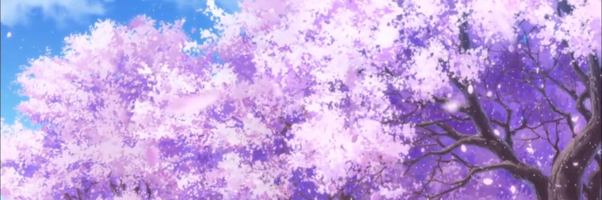 Mesumeri's profile banner image