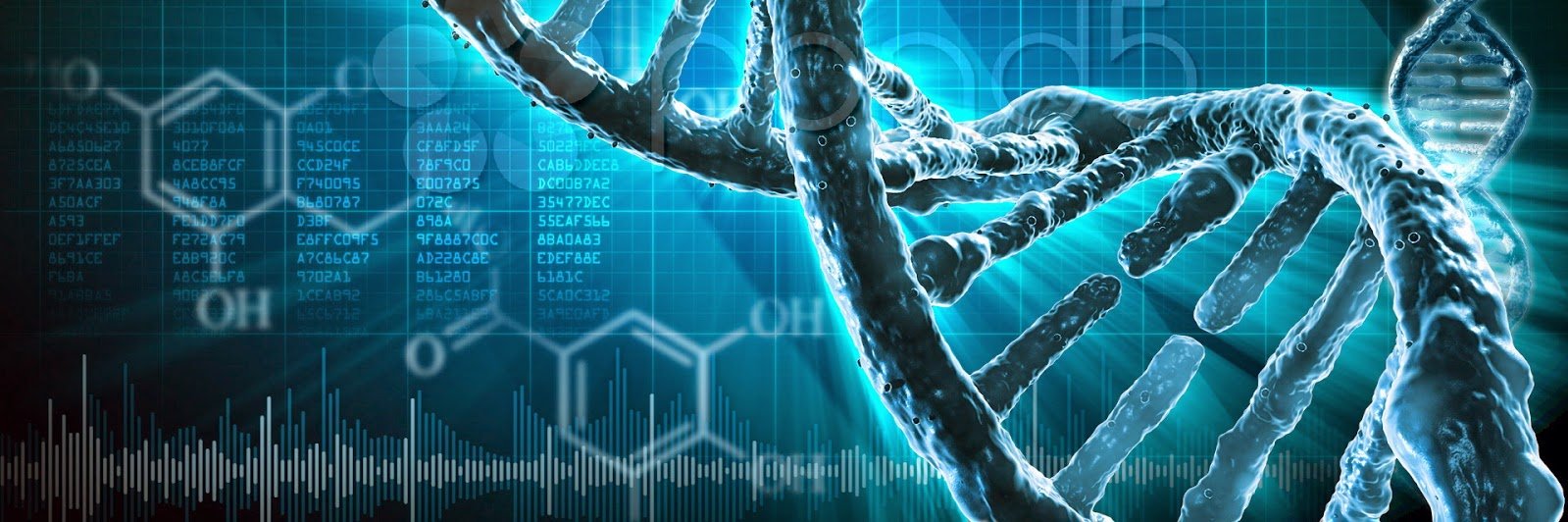 SooamBiotech's profile banner image