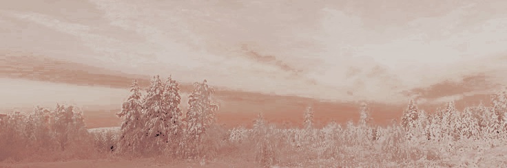 ♡ ʀᴜsʜ ᴛʜᴇ ʀᴀᴛ banner