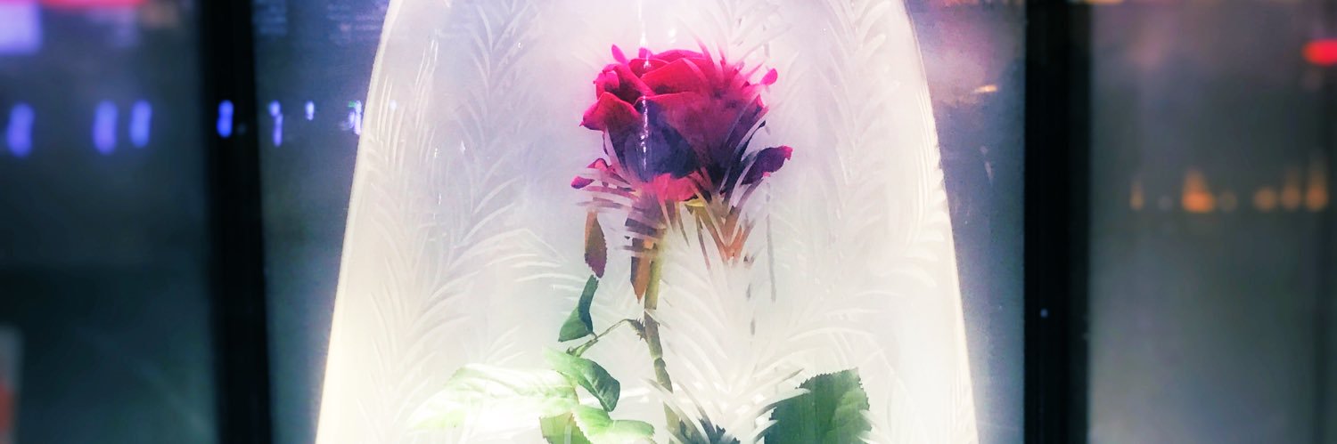 aporostrawberry's profile banner image