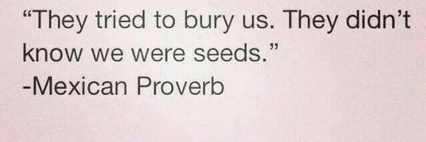 carlaPBrogers Profile Banner