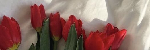 W.🌷(เก็บแอค) banner