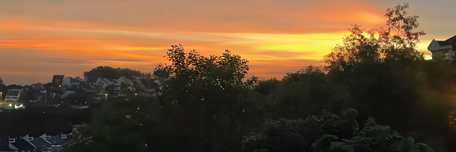 alwaysrenners's profile banner image
