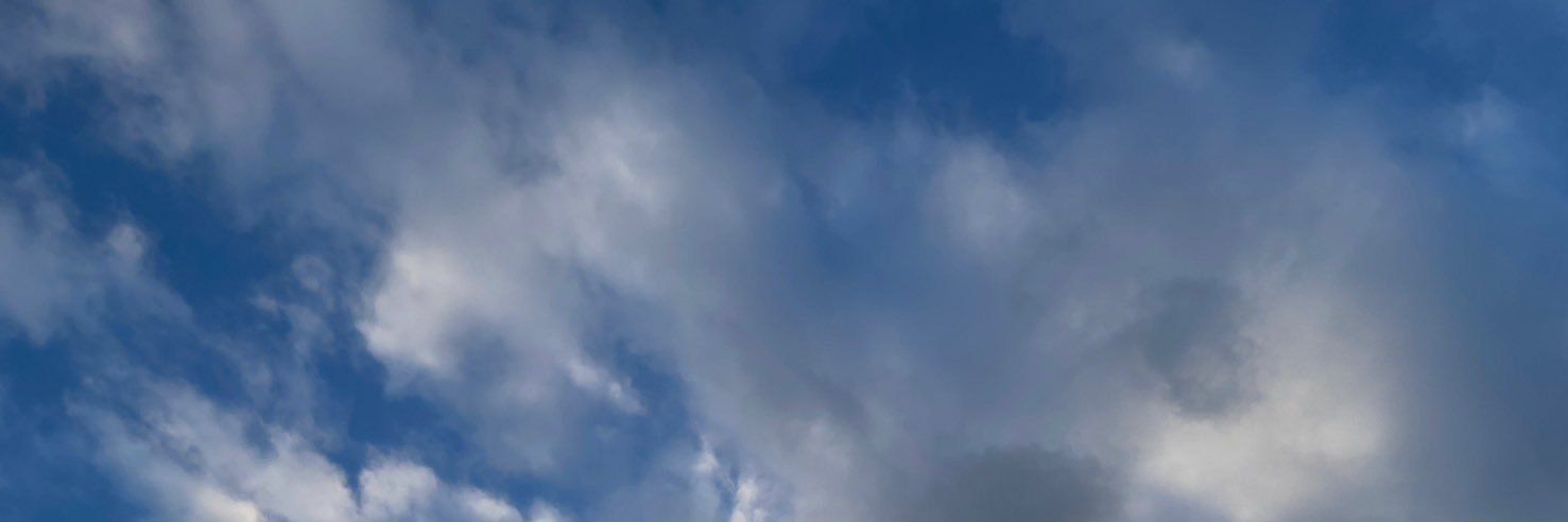 🍦 banner