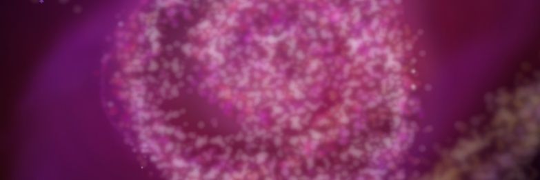 FallenEvie's profile banner image