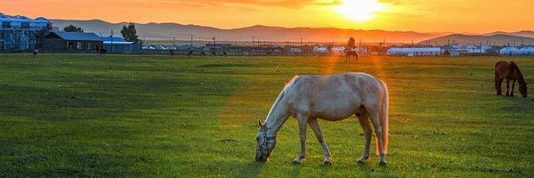 01Mllik Profile Banner