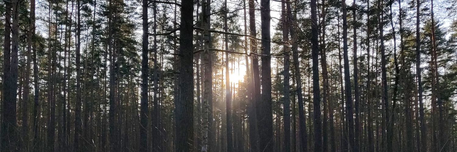 Jānis Skuja 🇺🇦 banner