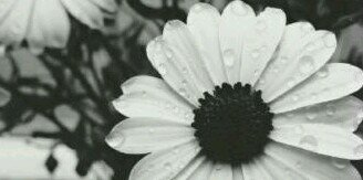 b_141587's profile banner image