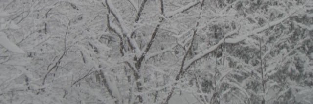 fennerboy13's profile banner image