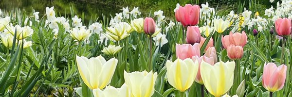 20cmsnow Profile Banner